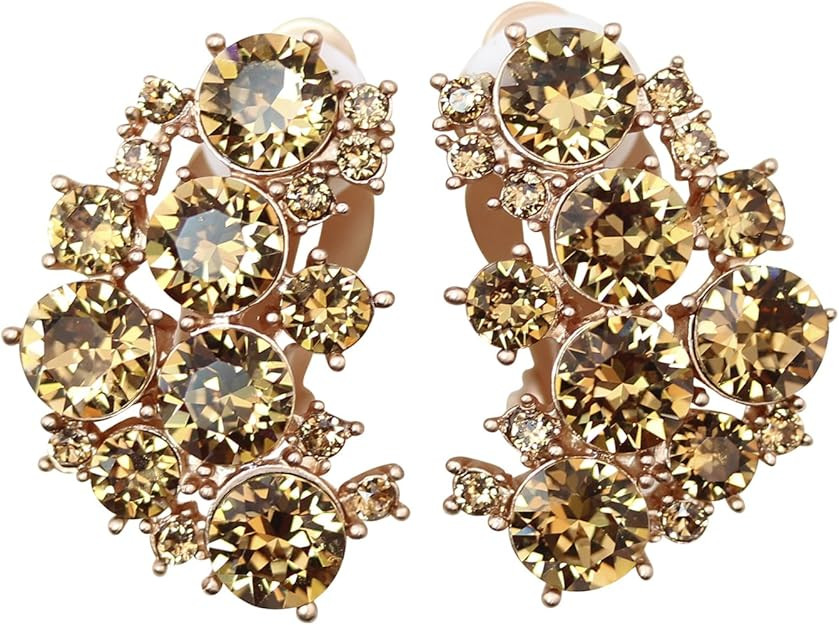 Faship Gorgeous Clip Ons Floral Earrings | Amazon (US)