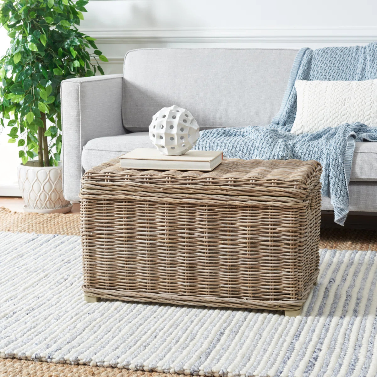 Modern Whyte Wicker Mahogany Solid Wood Trunk with Durable Handles, Lift-Top Storage for Living R... | Wayfair North America