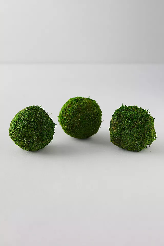 Natural Moss Balls, Set of 3 | Anthropologie (US)