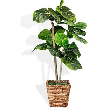 3.2FT Artificial Mini Fiddle Leaf Fig Tree in Woven Square Basket – Natural Wood Trunks w/Lifel... | Amazon (US)