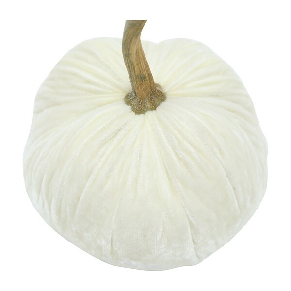 Hot Skwash | Maisonette