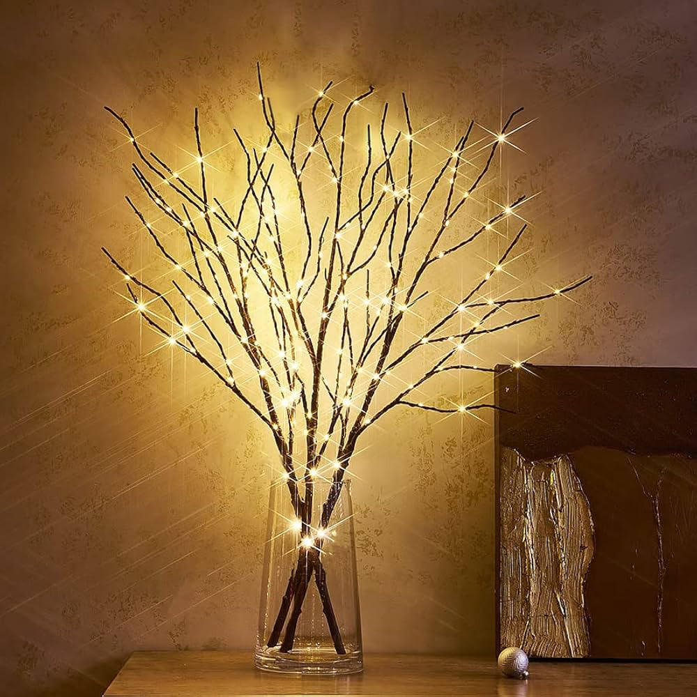 Hairui Lighted Brown Twig Branches Plug in with Dimmer and Timer 30IN 150 LED Fairy Lights, Light... | Amazon (US)