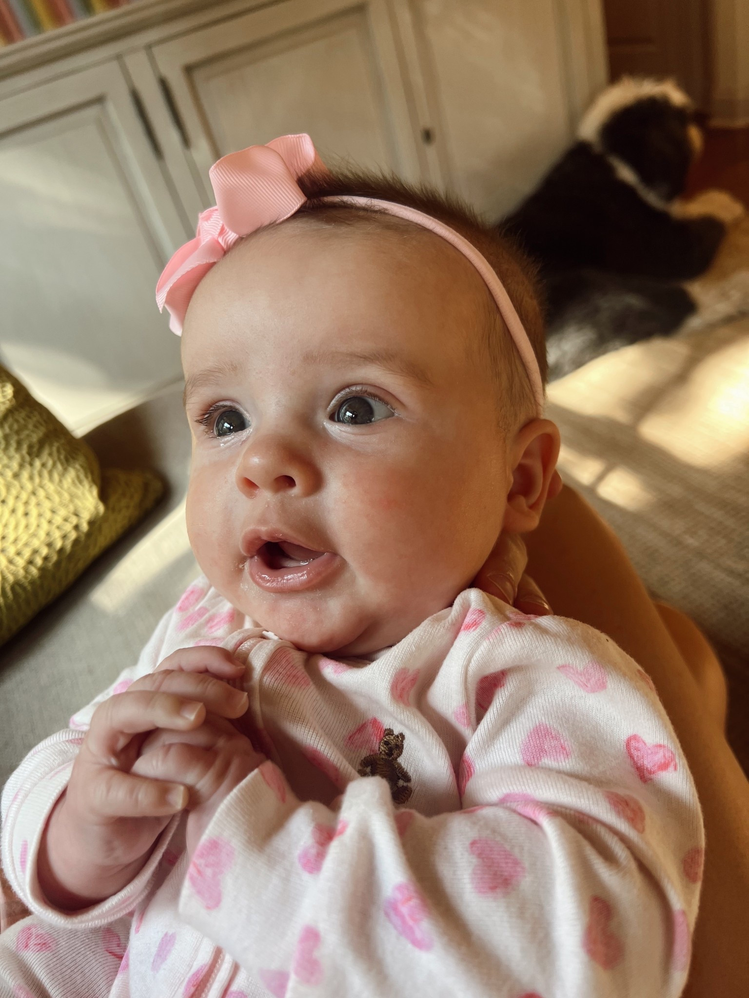 Finally found the perfect sized bows for tiny babies!! 

#LTKKids #LTKFamily #LTKBaby