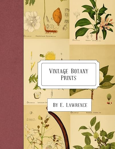 Vintage Botany Prints | Amazon (US)