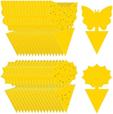 Mosqueda Fruit Fly Traps Fungus Gnat Traps Yellow Sticky Bug Traps 36 Pack Non-Toxic and Odorless... | Amazon (US)