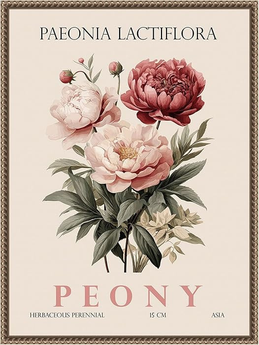 Amanti Art Framed Canvas Wall Art 24x18 Vintage Botanical Peony by Christopher Giampietro, Framed... | Amazon (US)