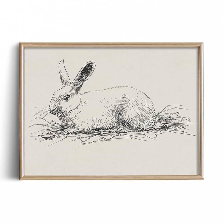 Rabbit Easter Bunny Drawing Etching Rustic Gray Picture - Cute Rabbit Art Print Poster - Vintage ... | Amazon (US)