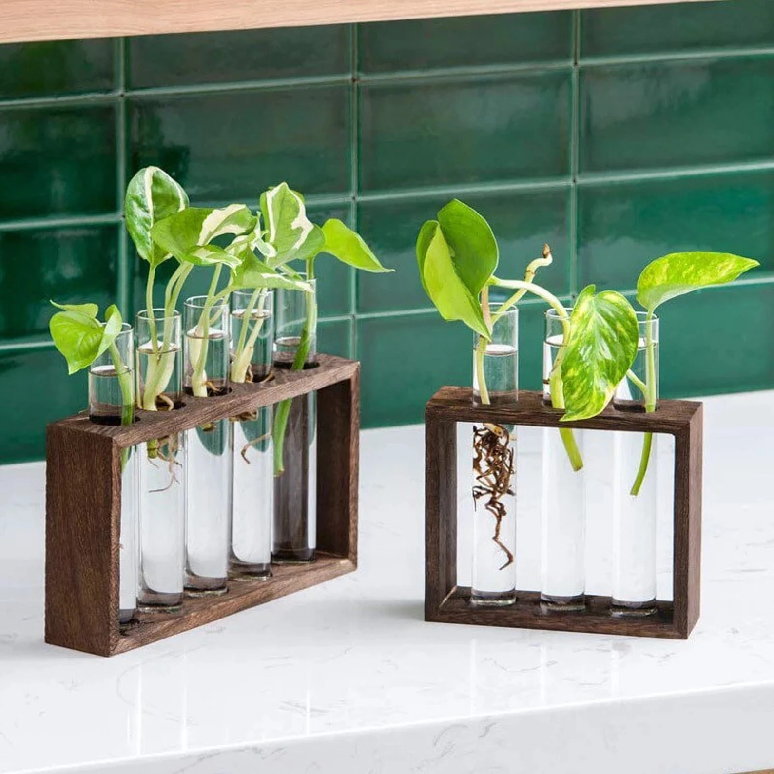 Vintage Wood Propagation Rack with Glass Tubes | Etsy (US)