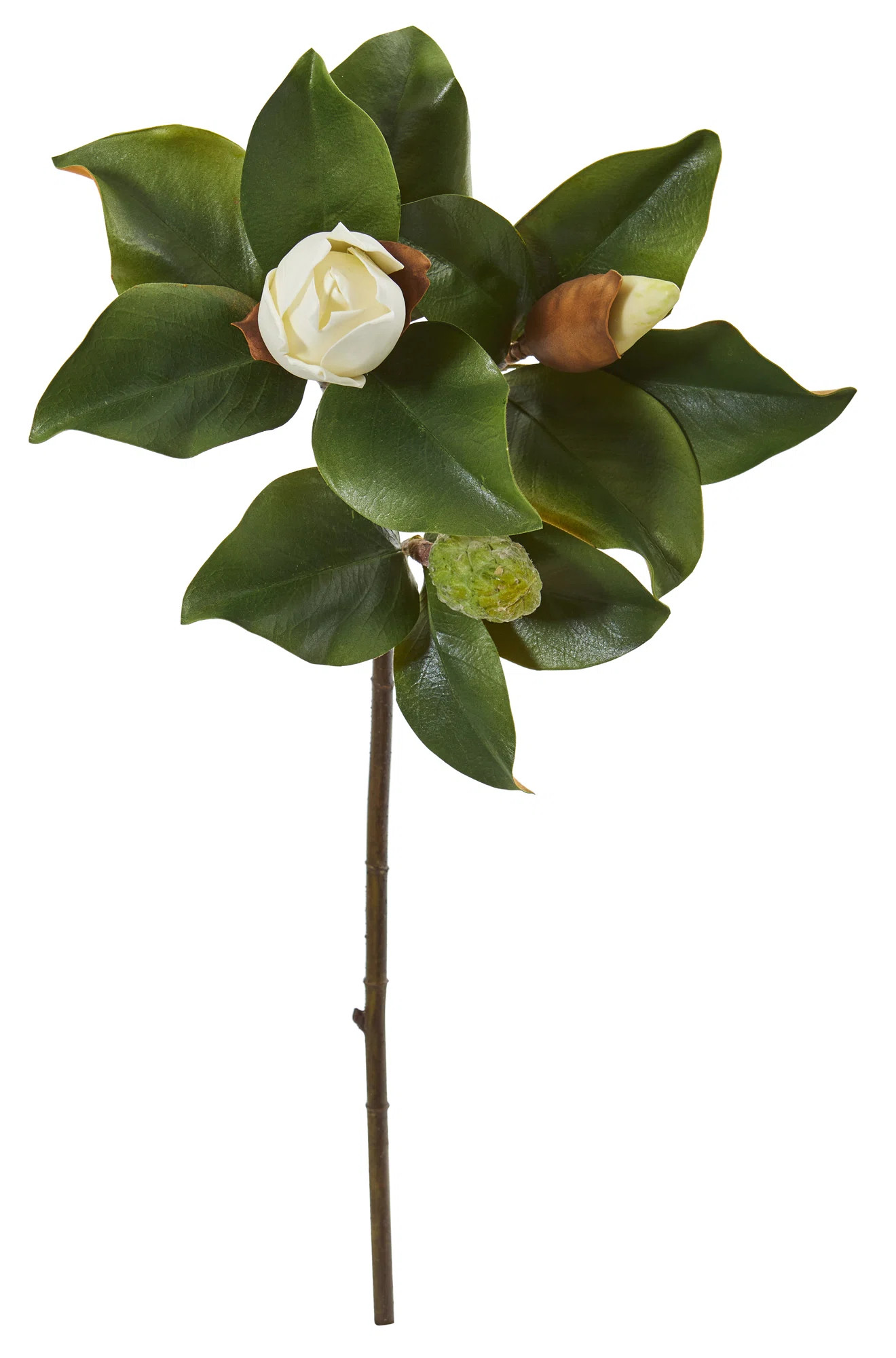 Magnolia Arrangement (Set of 4) | Wayfair North America