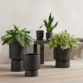 Medium Tabletop - 6"D x 7.5"H | West Elm (US)