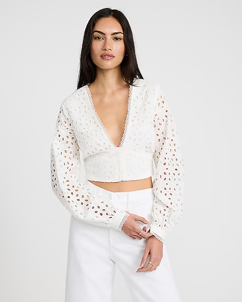 Eyelet V-Neck Long Sleeve Cropped Top | Express