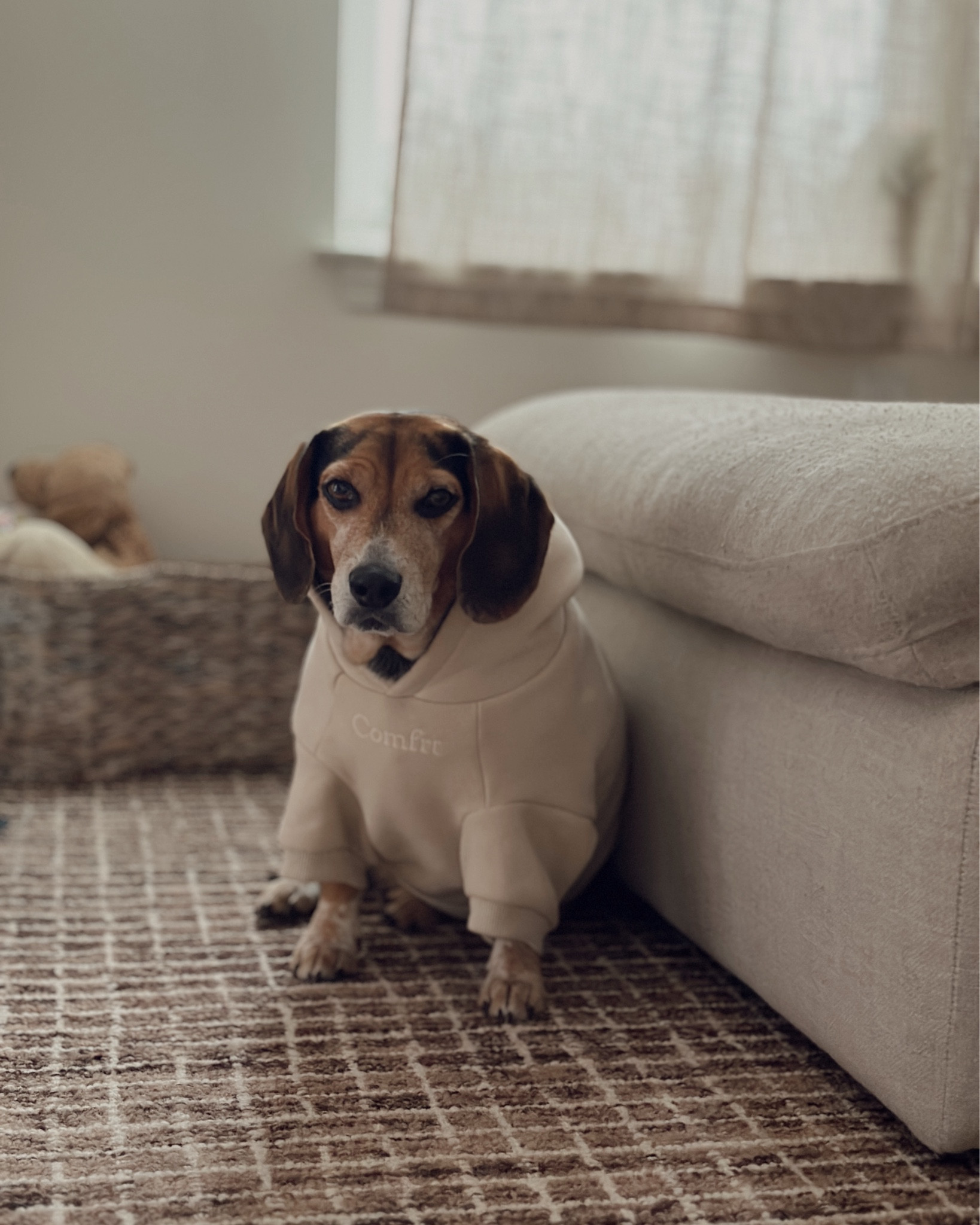 tis the season of matching sweat sets with your pup 🤍🐾✨ 
#loungeset #matchingset #cozy #pets #sweats 

#LTKSaleAlert #LTKHoliday #LTKPets
