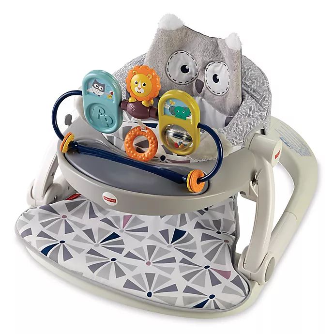 Fisher-Price® Owl Sit-Me-Up Floor Seat | buybuy BABY