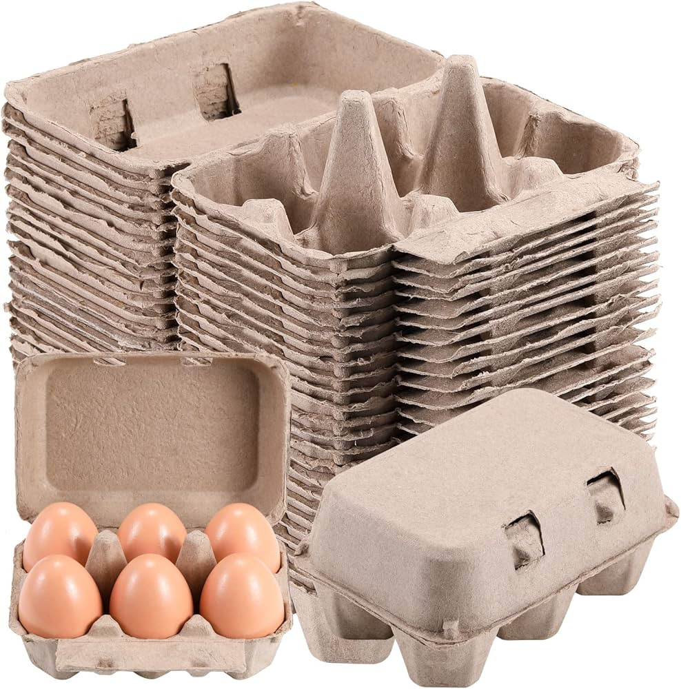 Half Dozen Vintage Egg Cartons 25 Pack, Blank Natural Pulp 6 Count Carton for Chicken Eggs Reusab... | Amazon (US)