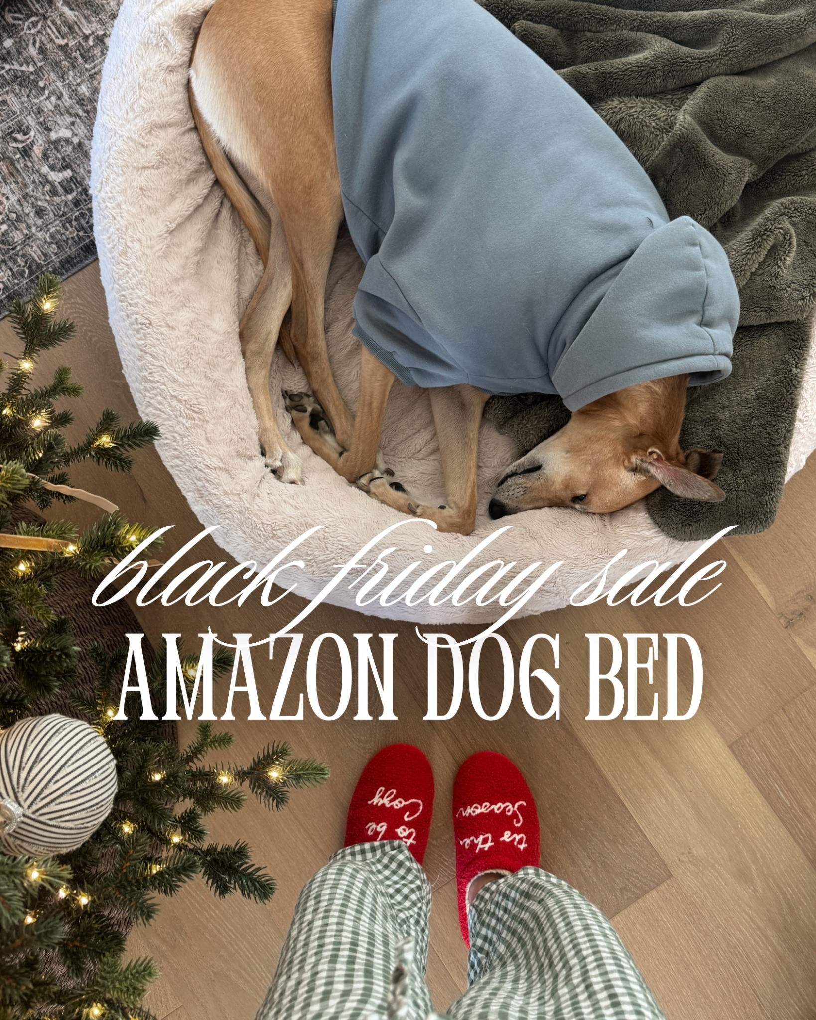 BLACK FRIDAY FAVORITE: our pups love this dog bed!! So cozy

Black Friday, gift ideas, gifts, holiday gifts, christmas gift, amazon finds, home decor, furniture

#LTKCyberWeek