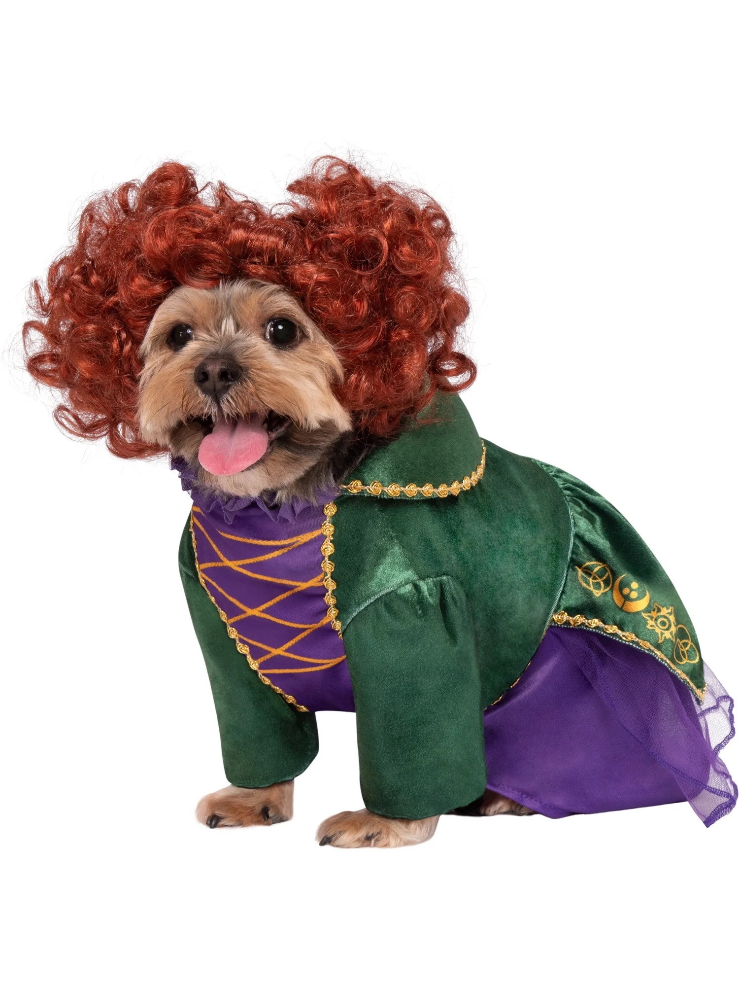 Hocus Pocus: Winifred Pet Costume - Walmart.com | Walmart (US)