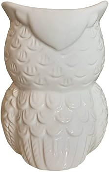 Multi-Purpose Ceramic Owl, Functions As Cooking Utensil Holder, Kitchen Storage Crock, Accent Dé... | Amazon (US)
