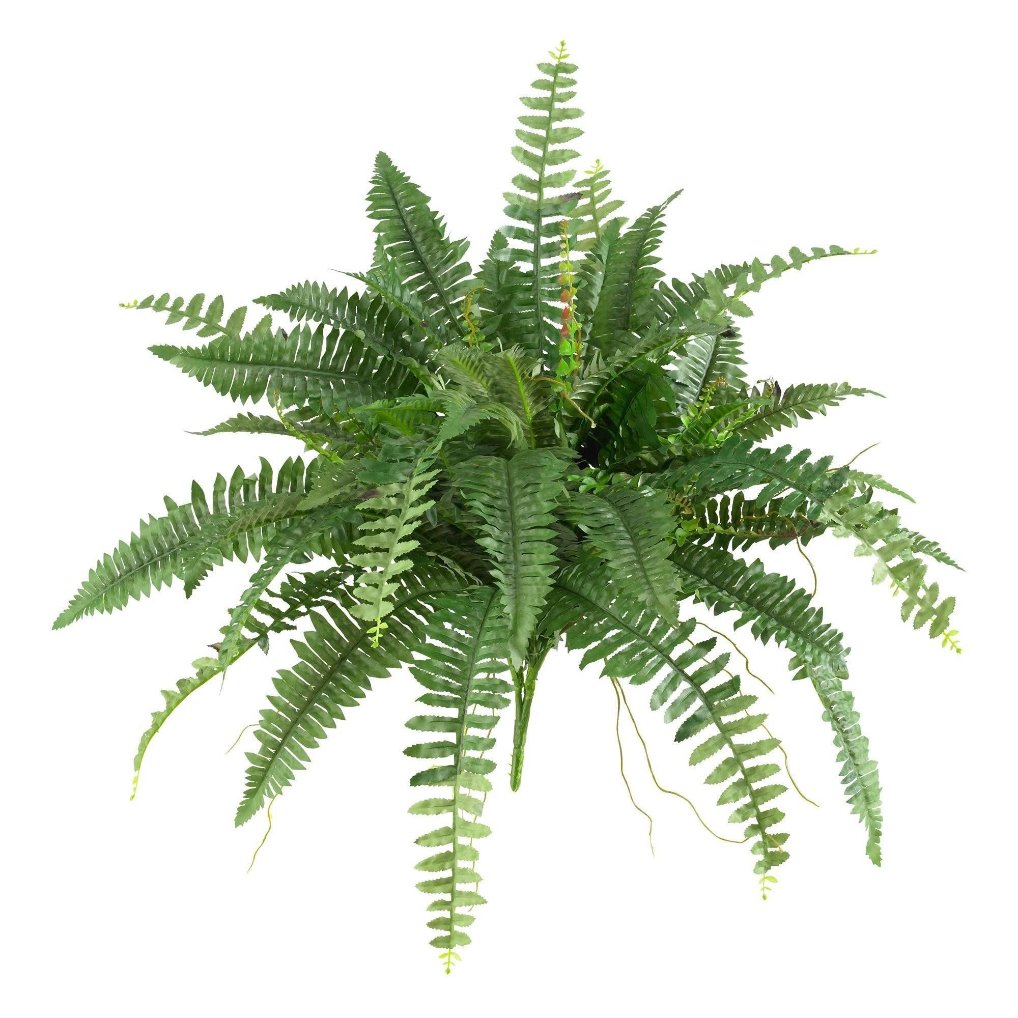 40” Artificial Boston Fern (Set of 2) | Nearly Natural