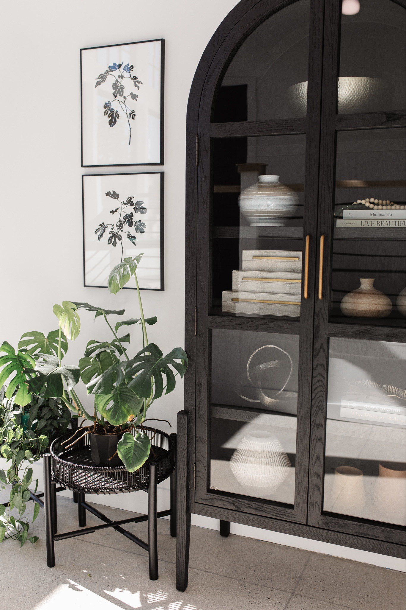 Shop the Shelves 🌿

#LTKstyletip #LTKFind #LTKhome