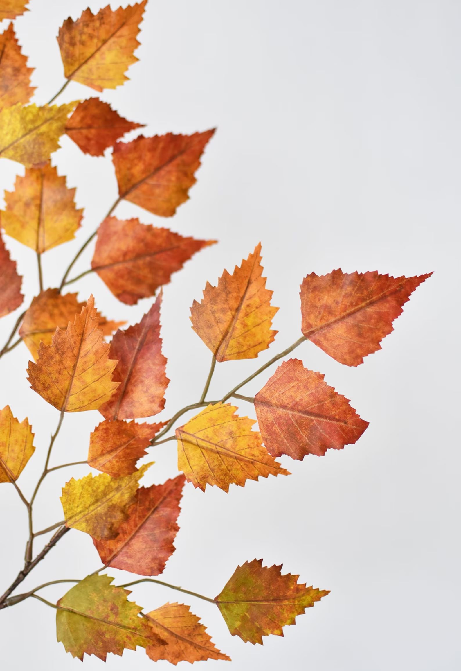 26" Faux Birch Leaf Spray Red/Orange/Yellow - fall foliage leaves leaf decorations decor branch | Etsy (US)