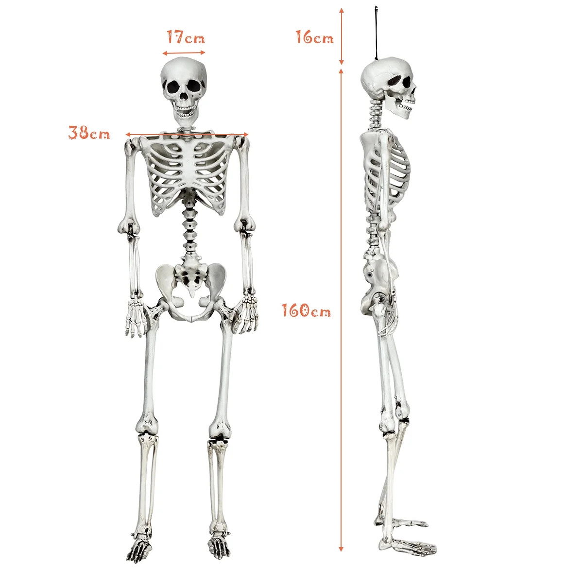 Costway 5.4ft Halloween Skeleton Life Size Realistic Full Body Hanging w/ Movable Joints | Walmart (US)