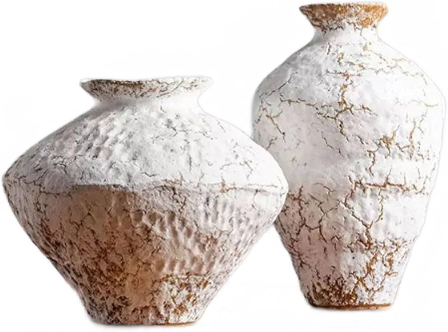 Aimeryup Display Vase Ceramic Pottery Jar Big Belly Large Ornament Decor Flower Arrangement Hotel... | Amazon (US)