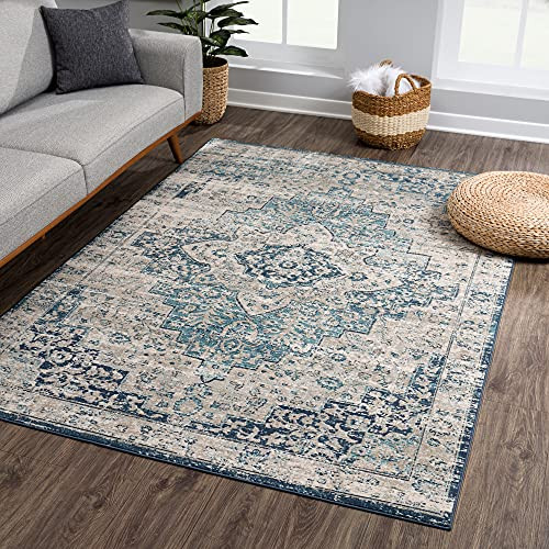 Traditional Blue Gray Area Rug - Vintage Boho 6x9 Rug for Living Room, Bedroom and Kitchen (6'6" x 9 | Amazon (US)