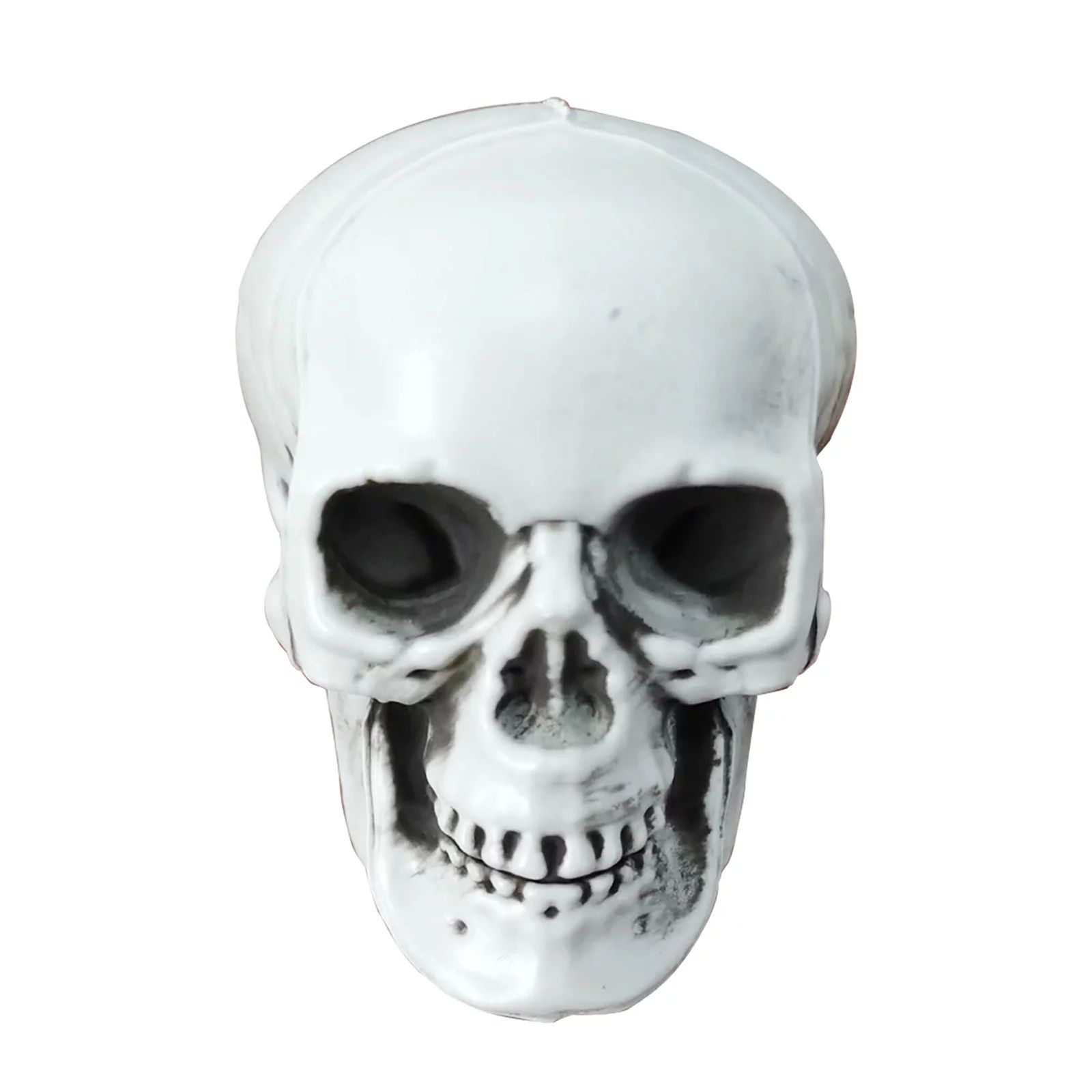 Halloween Skeletons, Plastic Realistic Fake Simulation Human Skull Head - Walmart.com | Walmart (US)