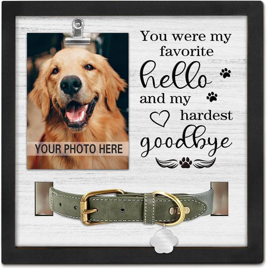 Pet Loss Gift, Memorial Sympathy Gifts for Loss of Dog, Pet Memorial Frame with Collar Holder, Ca... | Amazon (US)