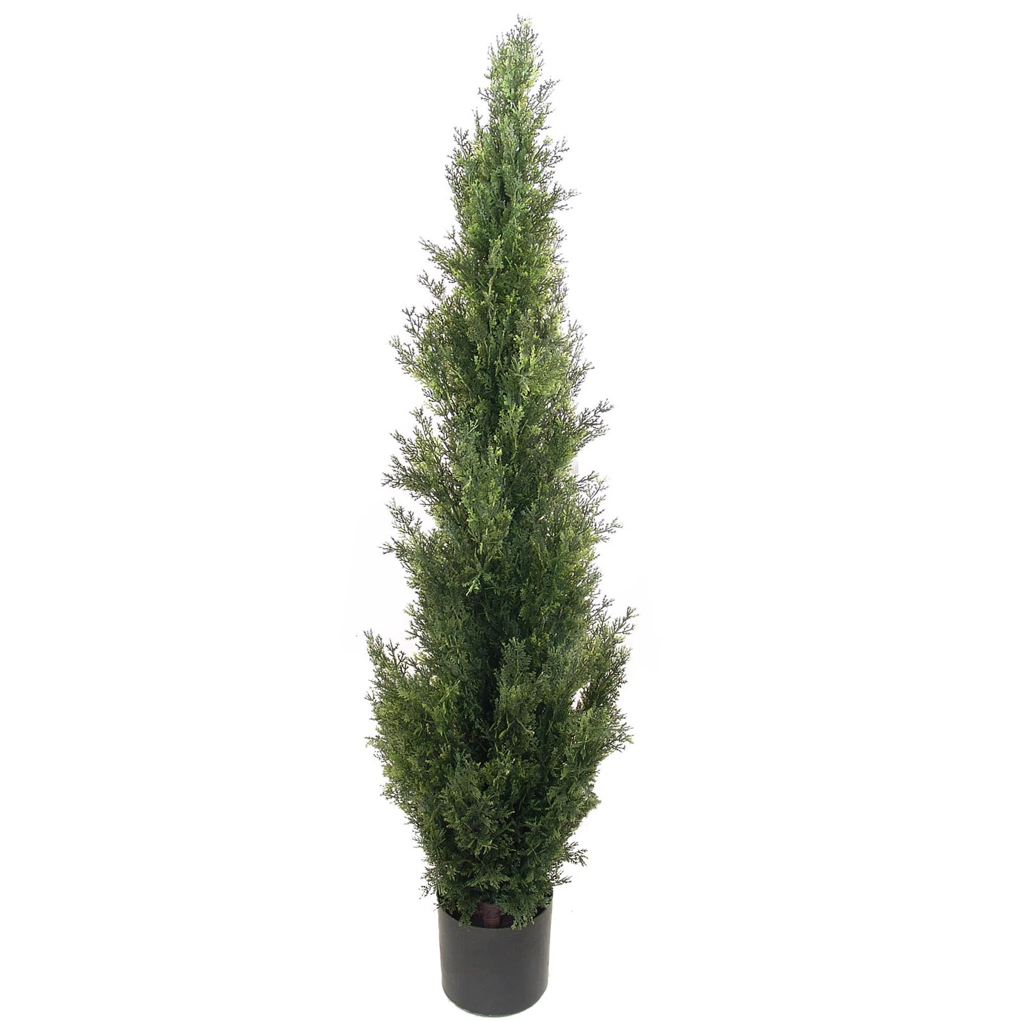 Primrue 48" Artificial Cedar Tree in Pot | Wayfair | Wayfair North America