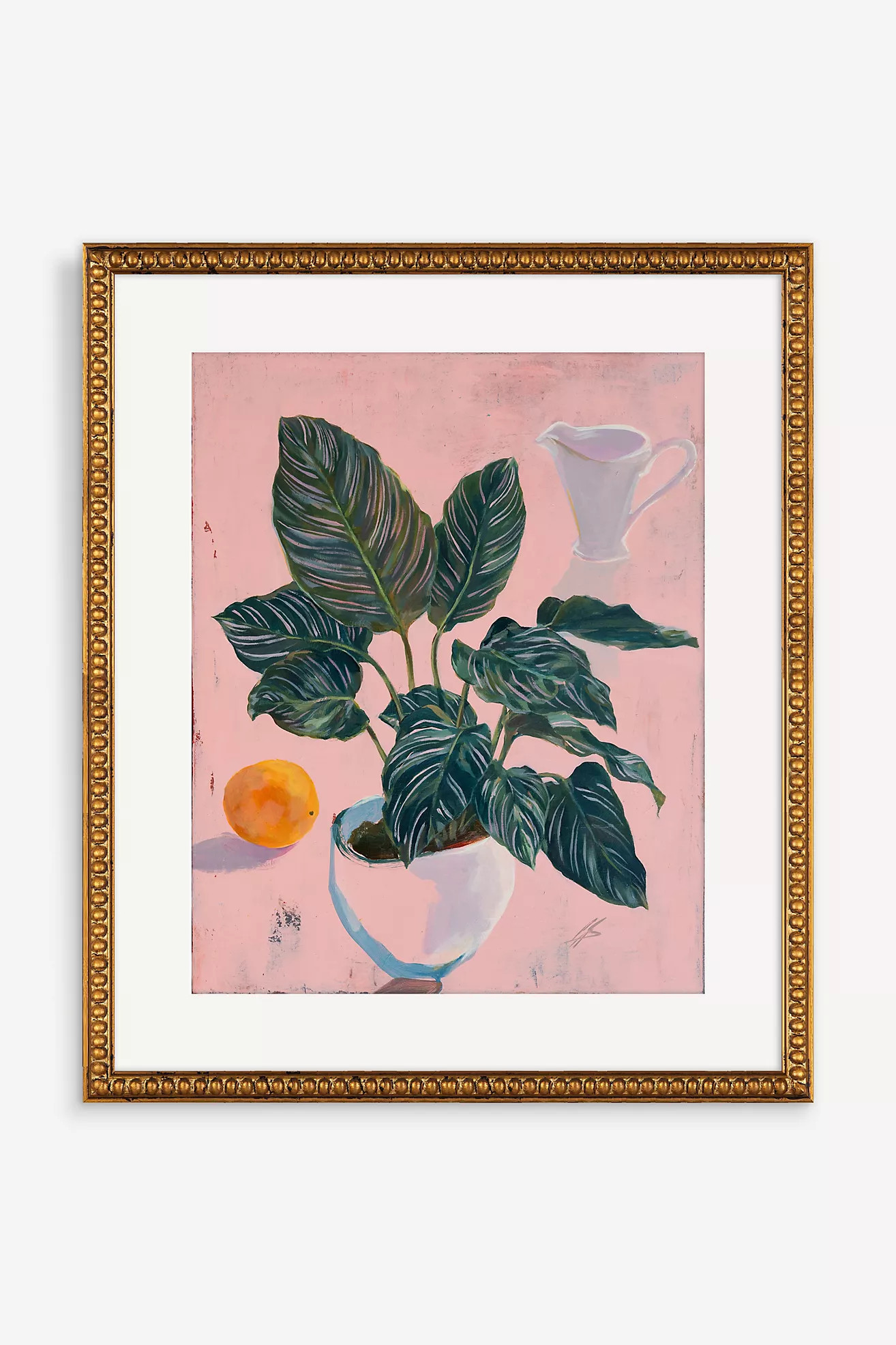 Calathea Sanderiana Wall Art | Anthropologie (US)