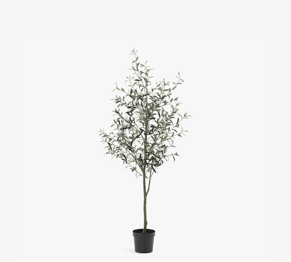 Faux Potted Olive Tree, 6', Green | Pottery Barn (US)