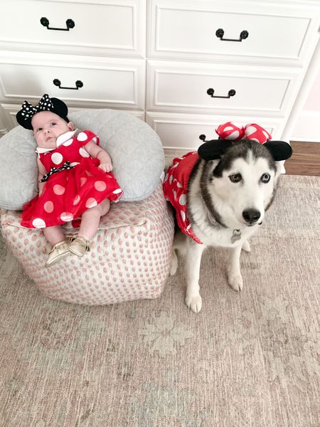 Halloween costumes idea for your baby and pet. One of my favs! 

#LTKbaby #LTKHalloween #LTKfindsunder50