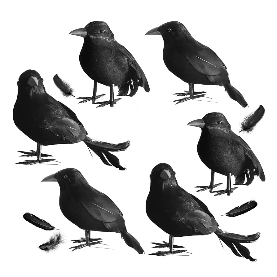 kemooie 6 Packs Real Feathered Halloween Black Crows, Handmade Realistic Crow with Real Feathers ... | Amazon (US)