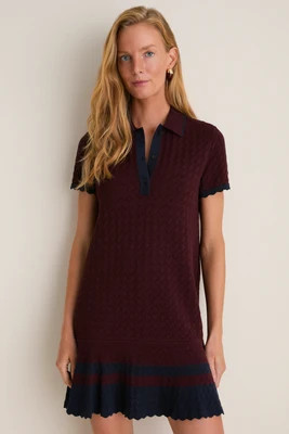Winetasting May Sweater Polo Dress | Tuckernuck (US)