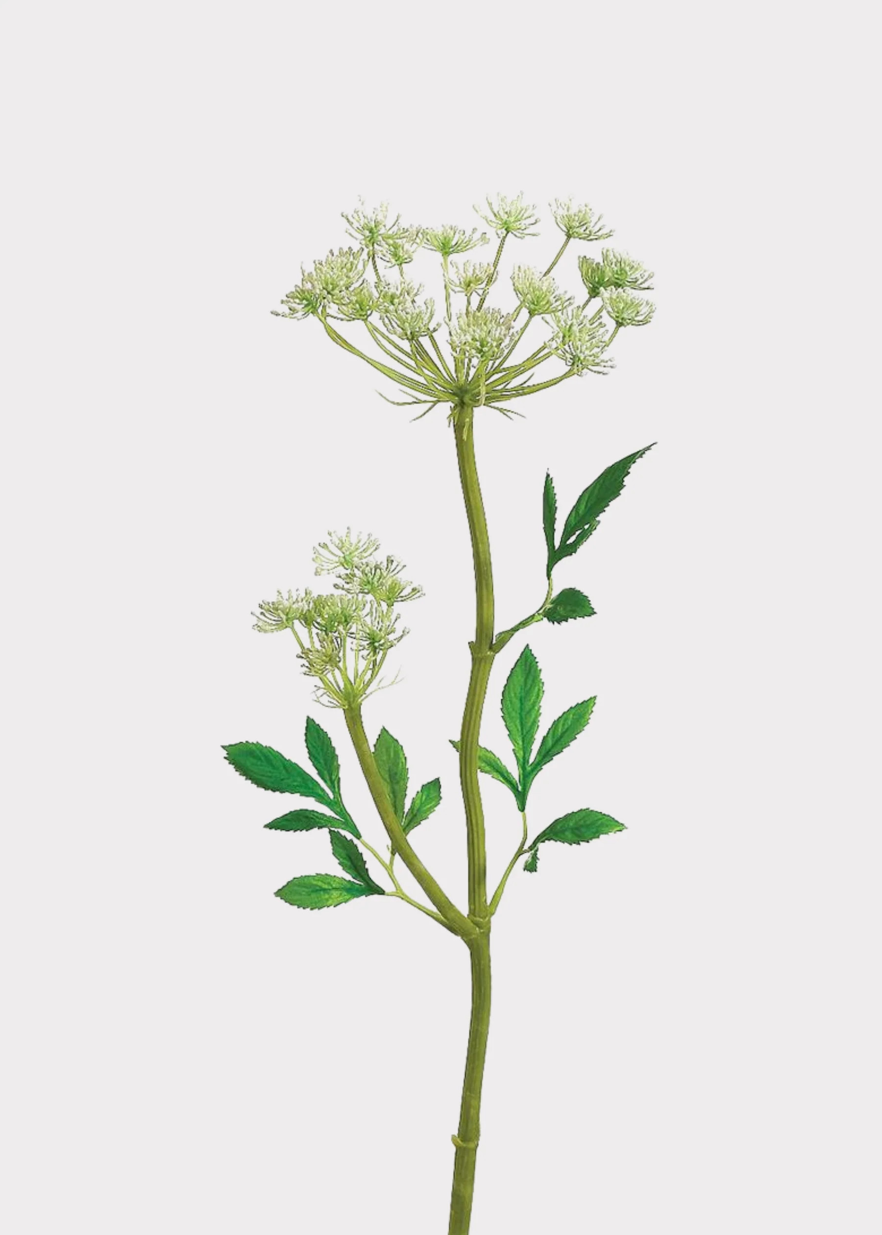 Artificial Queen Anne's Lace Wildflower Stem - 24" | Afloral