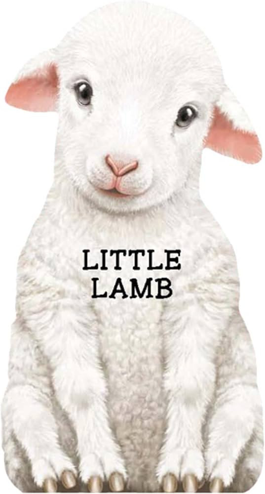 Little Lamb (Mini Look at Me Books) | Amazon (US)