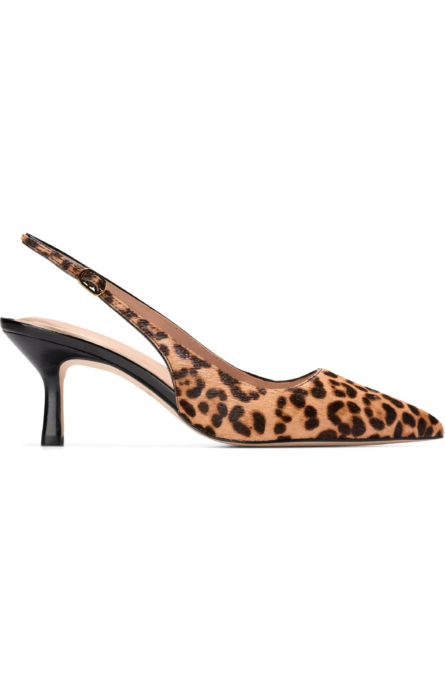 Hansell Slingback Pointed Toe Pump (Women) | Nordstrom