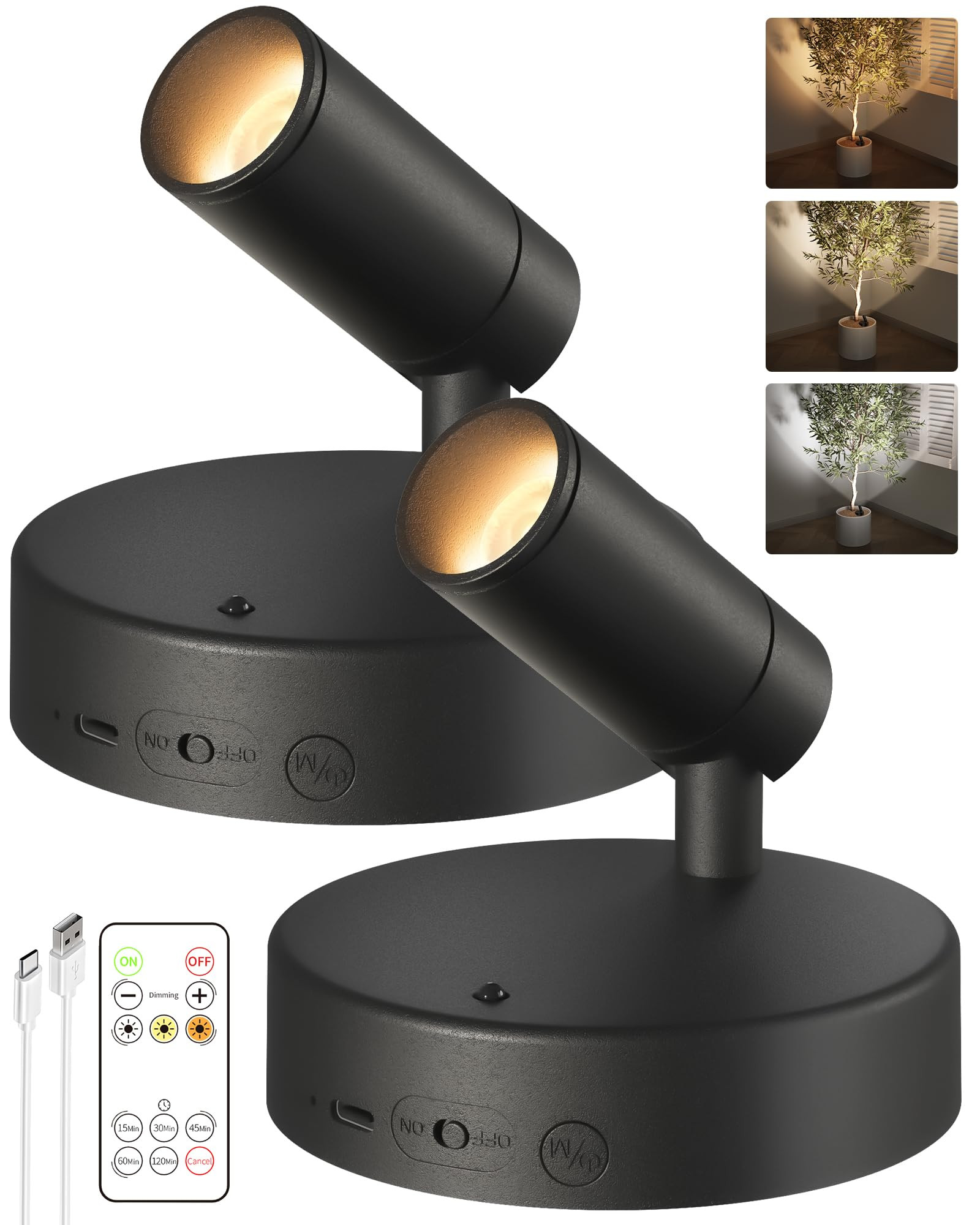 EZVALO Spotlights Indoor with Remote,5500mAh Rechargeable Plant Spotlight Indoor, Wireless LED Up... | Amazon (US)