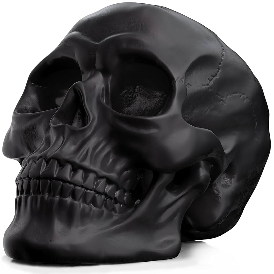 READAEER Resin Skull, Human Head Model for Home Decoration, Halloween Statue, Skull Model for Boo... | Amazon (US)