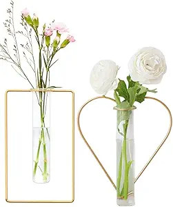 2 Pack yaocoral Nordic Wall Vase Hanging Geometric Gold Flower Vase Wall Mount Metal Frame Vase H... | Amazon (US)
