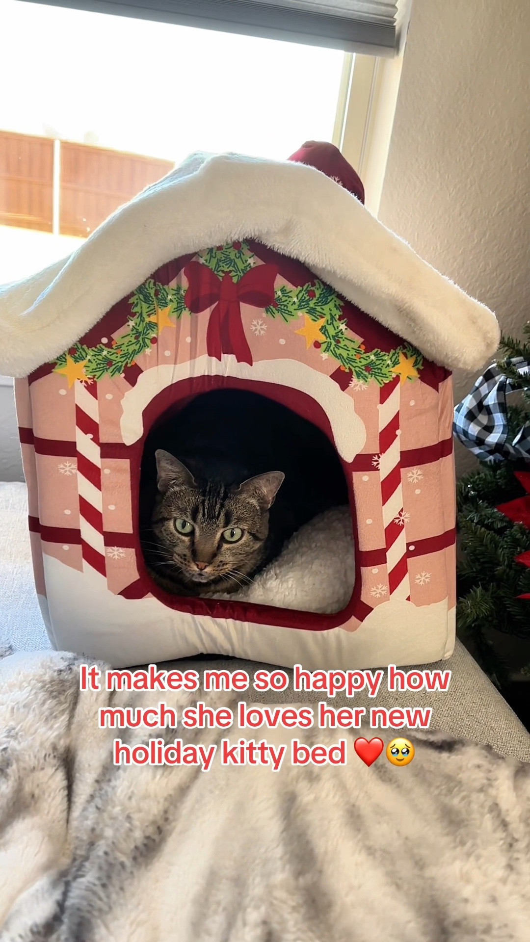 Pet gifts
Holiday bed 
Cat or dog bed 

#LTKHoliday #LTKSeasonal #LTKGiftGuide