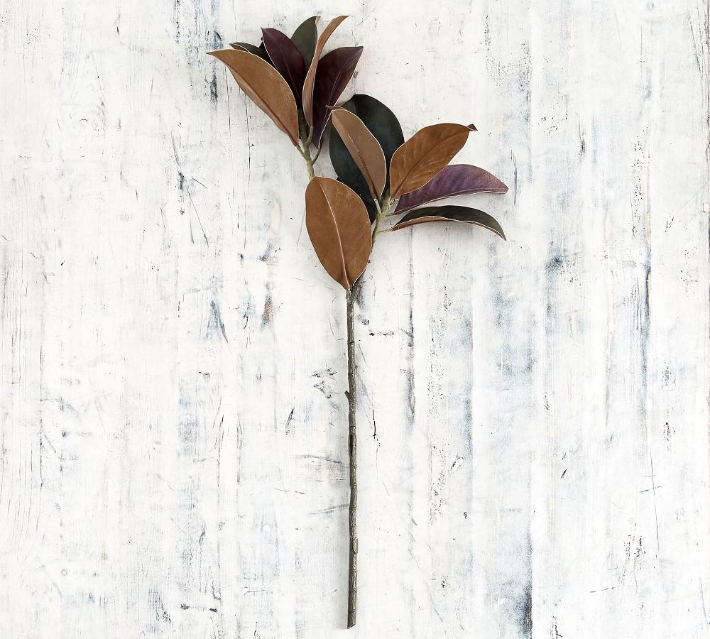 Faux Budding Magnolia Branch | Pottery Barn (US)