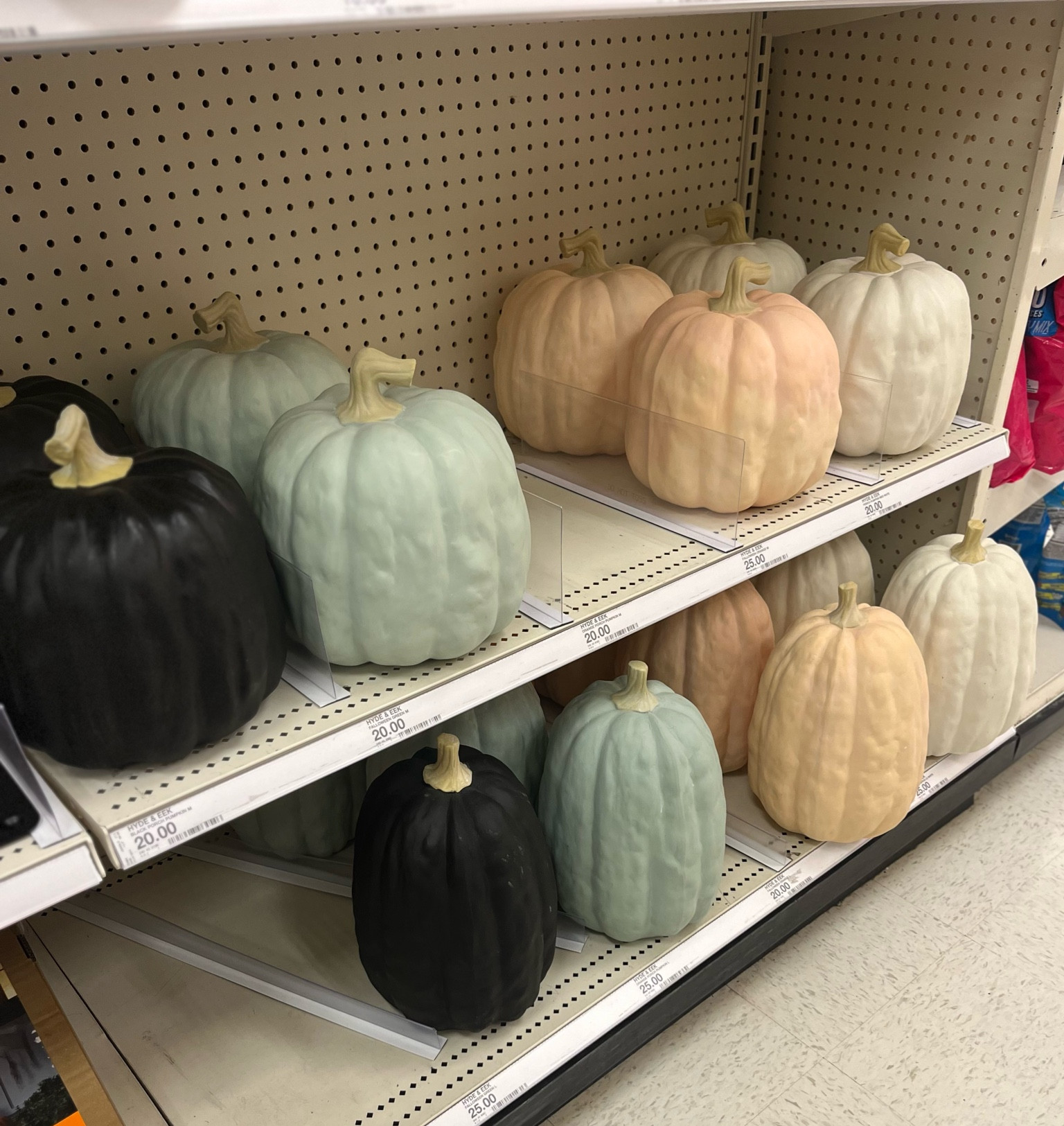 Neutral muted pumpkins! 

#LTKHome #LTKFindsUnder50 #LTKSeasonal