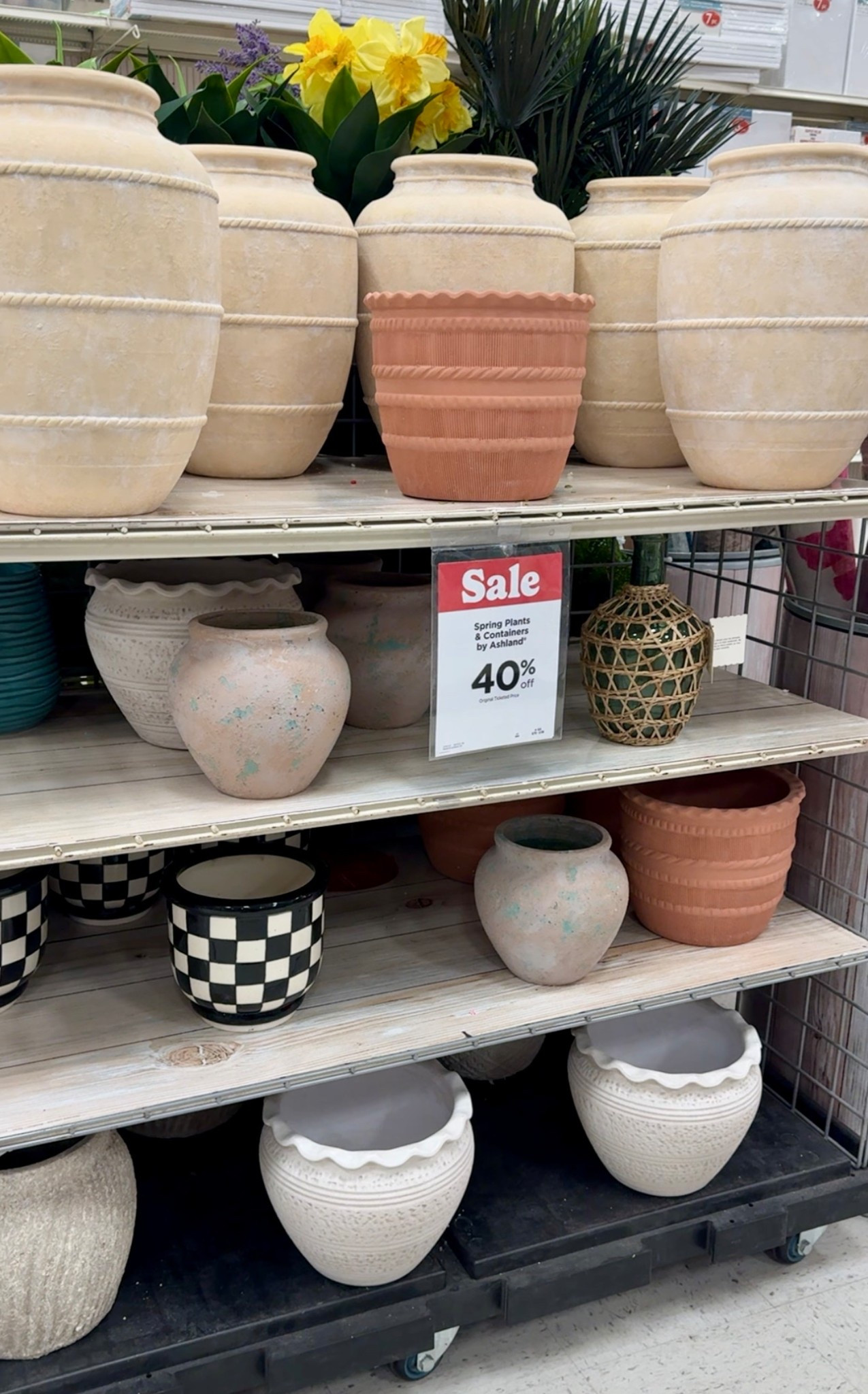 These vases look like Potterybarn but are Michaels. I love the texture. Perfect for porches, tables, entryways, consoles and bedrooms for spring.

#vase #planter

#LTKSaleAlert #LTKSeasonal #LTKHome