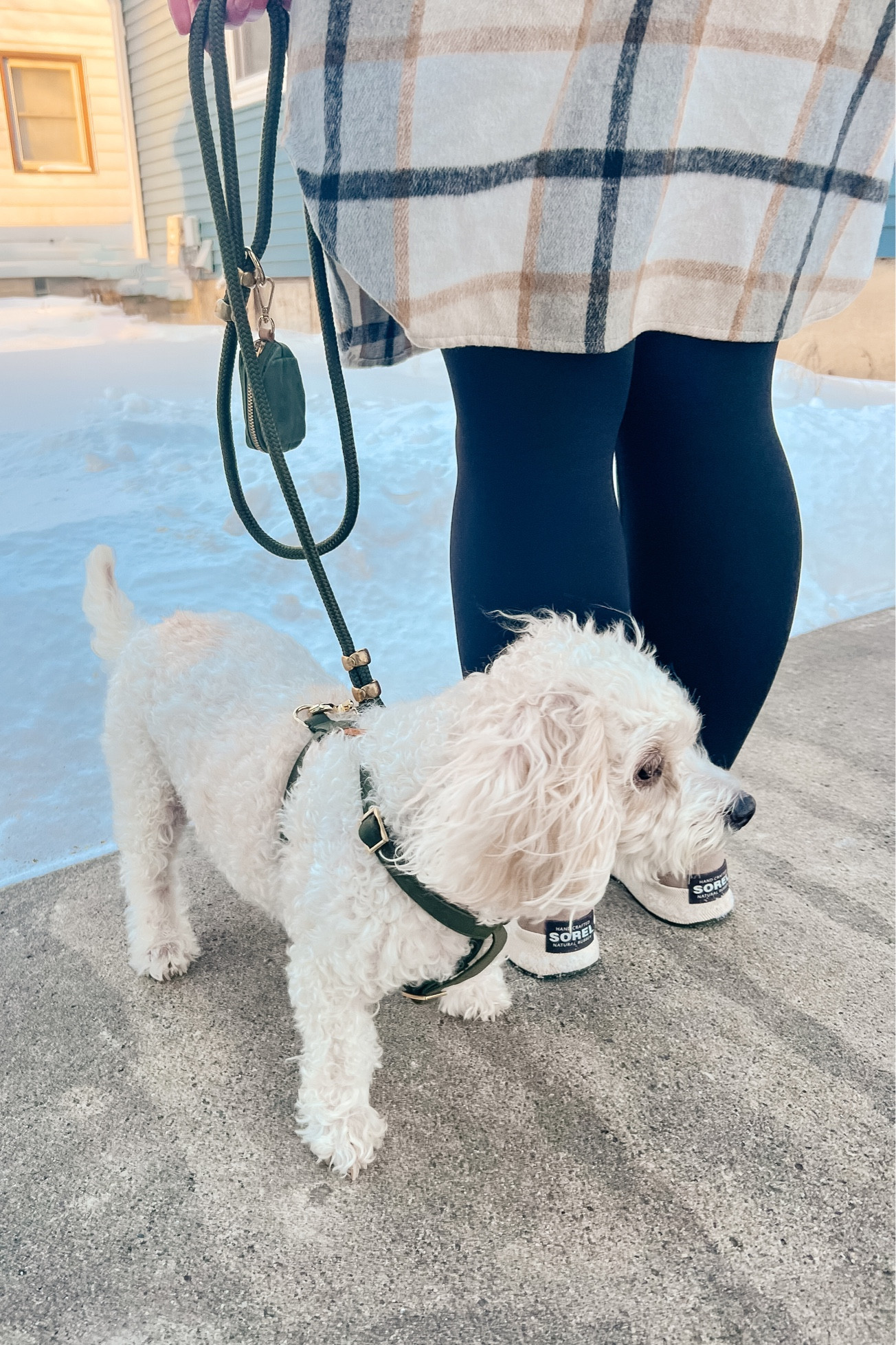 Winter Wonderland Dog Walk

Sorel Waterproof Boots

#LTKworkwear #LTKstyletip #LTKSeasonal
