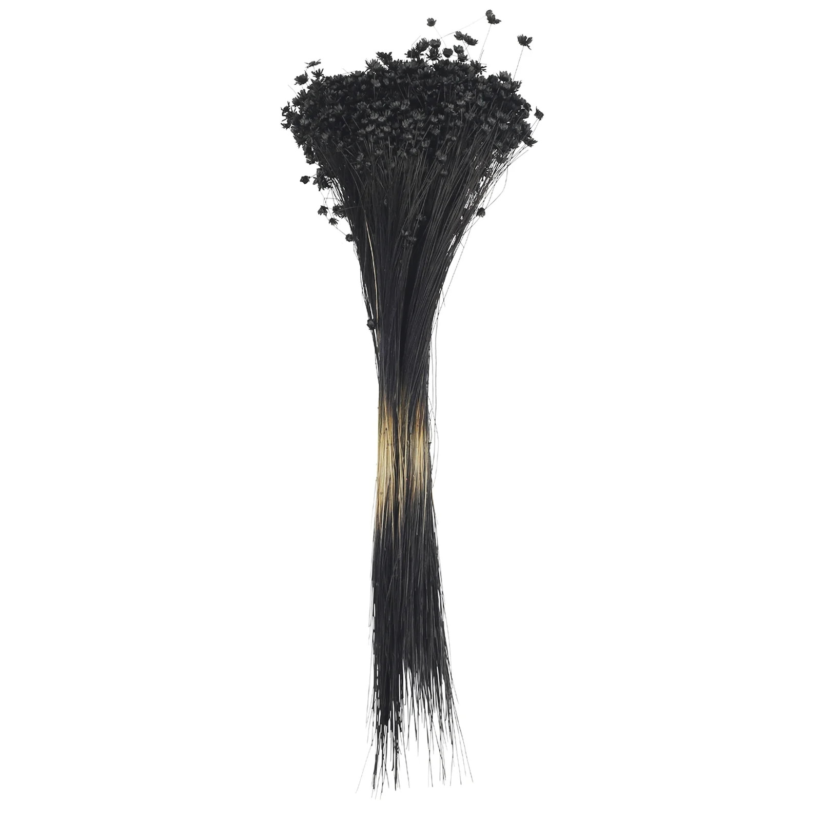 12" Black Campo Flowers Bunch by Ashland® - Halloween Floral for Crafts and Home Decor | Walmart (US)