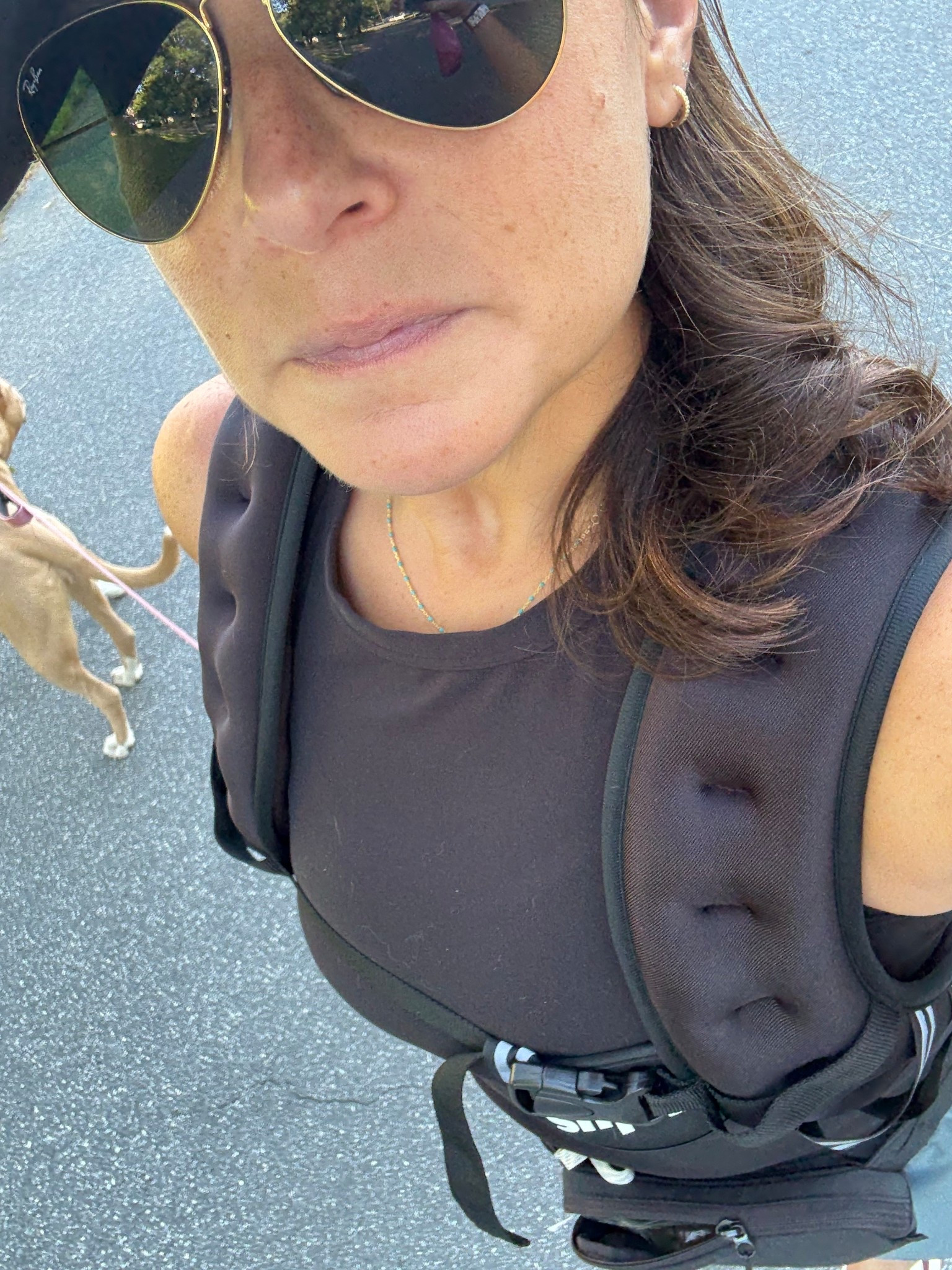 Adding a little extra to our walks. This 12 pound weighted vest makes it more of a workout.
