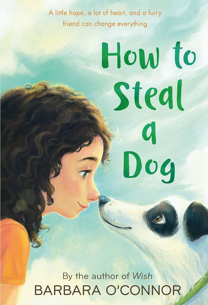 How to Steal a Dog: A Novel | Amazon (US)