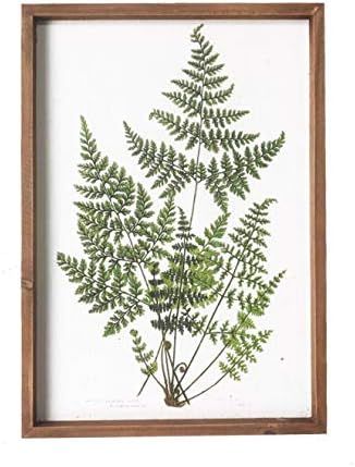 NIKKY HOME Botanical Plant Prints Framed - 20" x 14" Fern Pictures Art Wall Decor - Vintage Look ... | Amazon (US)